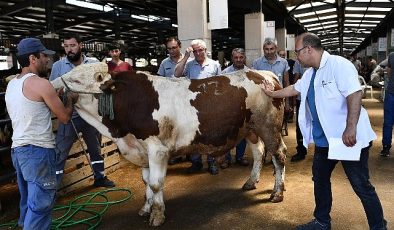 Osmangazi Kurban Bayramı’na hazır