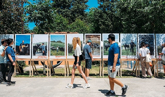 CLIMAVORE x Jameel at Royal College of Art, İstanbul’un Sulak Alanlarının Geleceği için Manda Festivali’ni Düzenledi