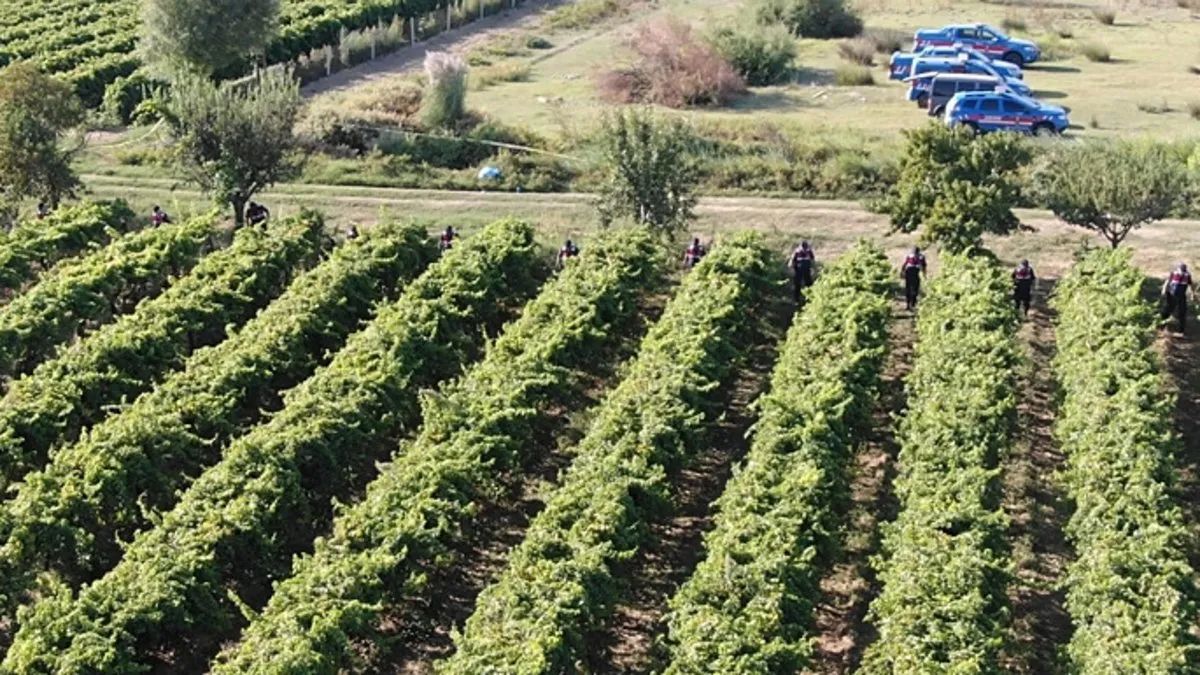 Manisa’da korkunç olay! Silahla vurulan çiftçi hayatını kaybetti